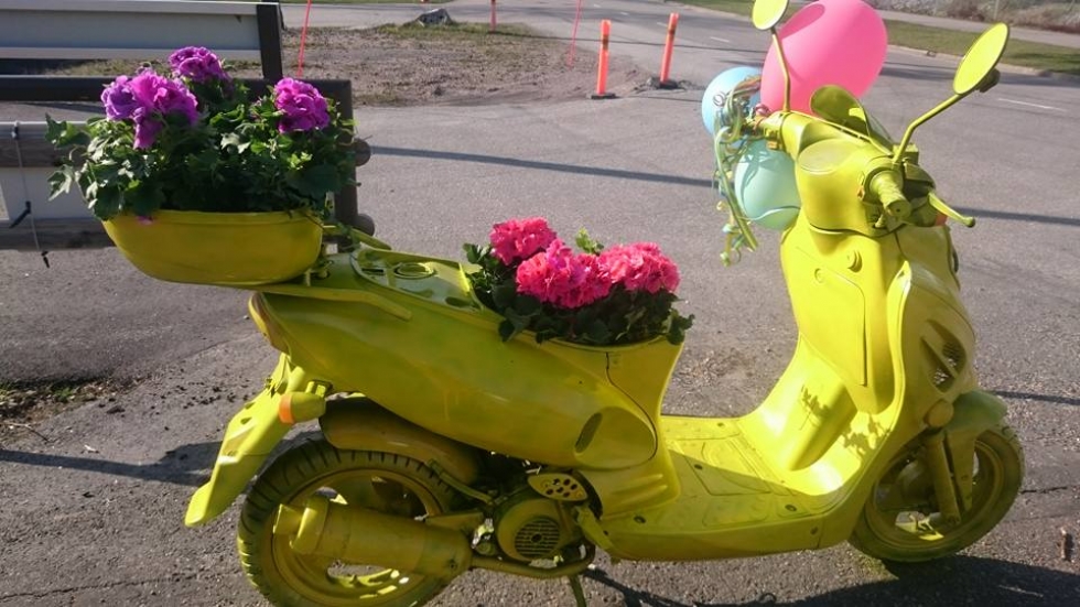 Tervetuloa perjantaina klo 9-19!||